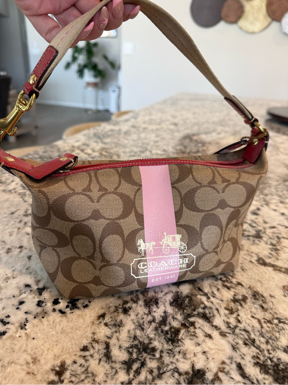 Coach Brown Signature Canvas Mini Bag with Pink Stripe - Picture 2 of 8